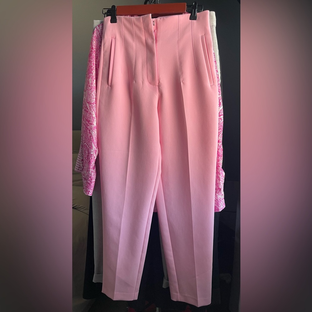 LIMITED EDITION - ZARA High Waist Pants - Size: Small - Color: Bubblegum Pink